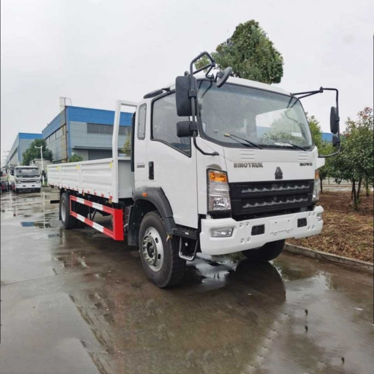 Sinotruk HOWO 4X2 371HP Lorry Truck Cargo Truck with Sidewall (10)