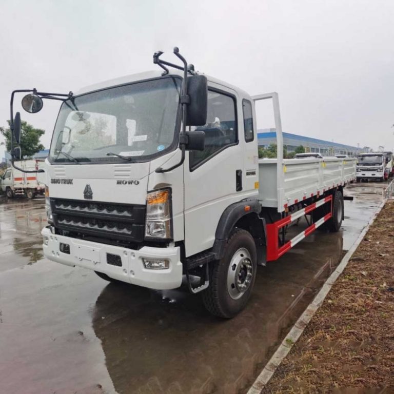 Sinotruk HOWO 4X2 371HP Lorry Truck Cargo Truck with Sidewall (6)